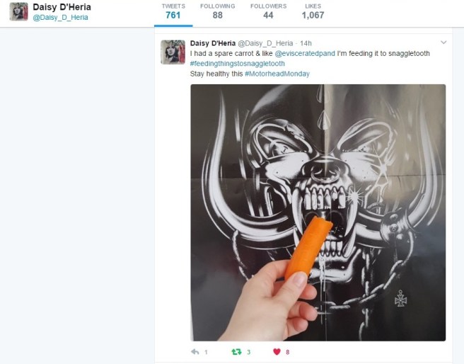 DaisyFeedingSnagCarrotTwitter