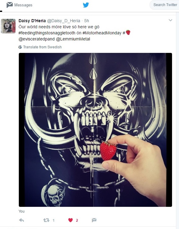 DaisyFeedingSnagStrawberry