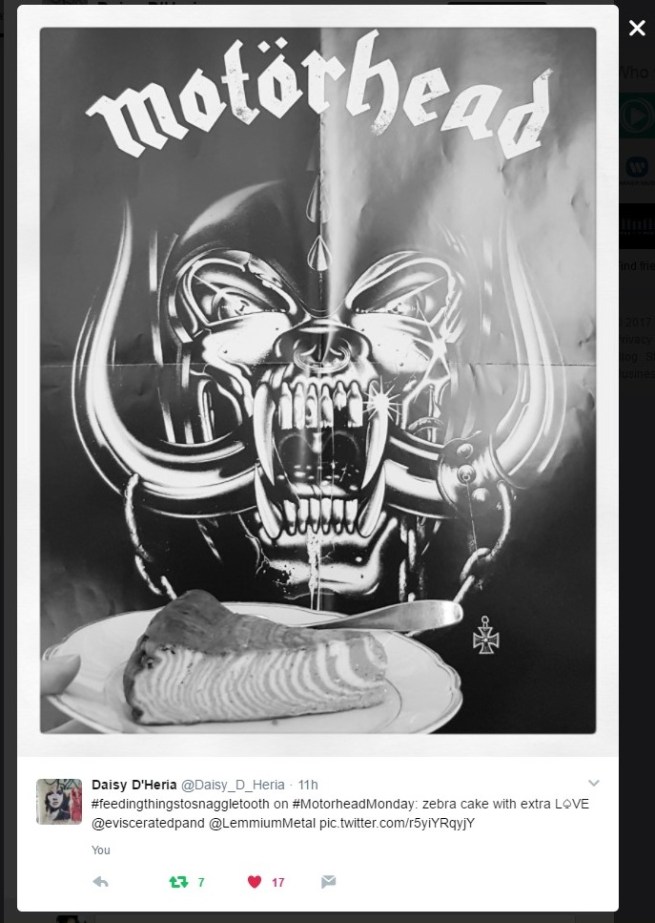 DaisyTwitterSnagZebraCake