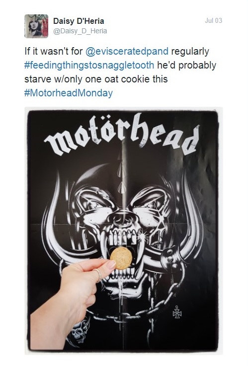 Daisy Snag Oat Cookie