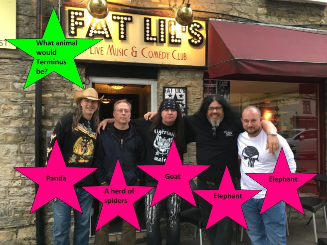 What Animal Terminus 5 pink Star.jpg