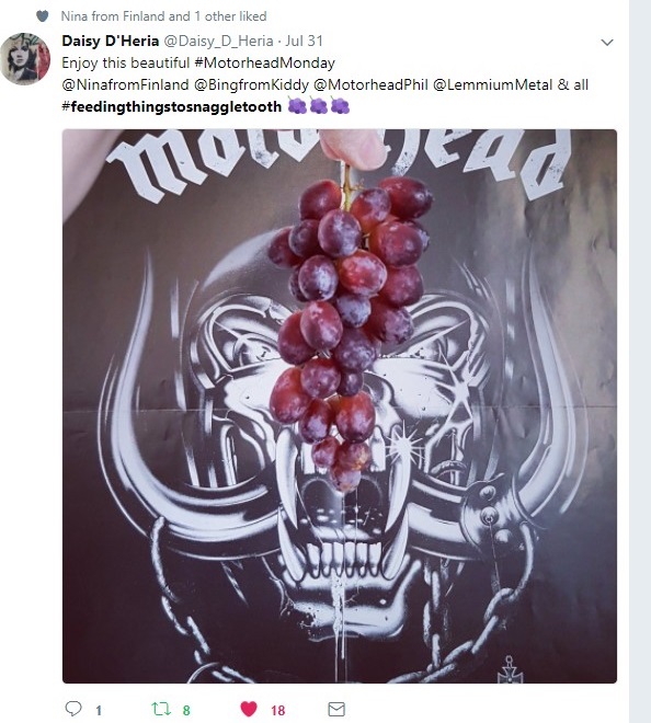 DaisyGrapesSnagTwitter