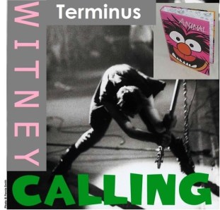 WitneyCallingAnimal